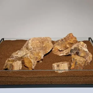 aquadeco Versteinertes Holz bunt M (2,3-2,7 kg) Aktuell